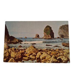 Postcard Oregon Coast Scenic Beautiful Seascape Chrome Unposted